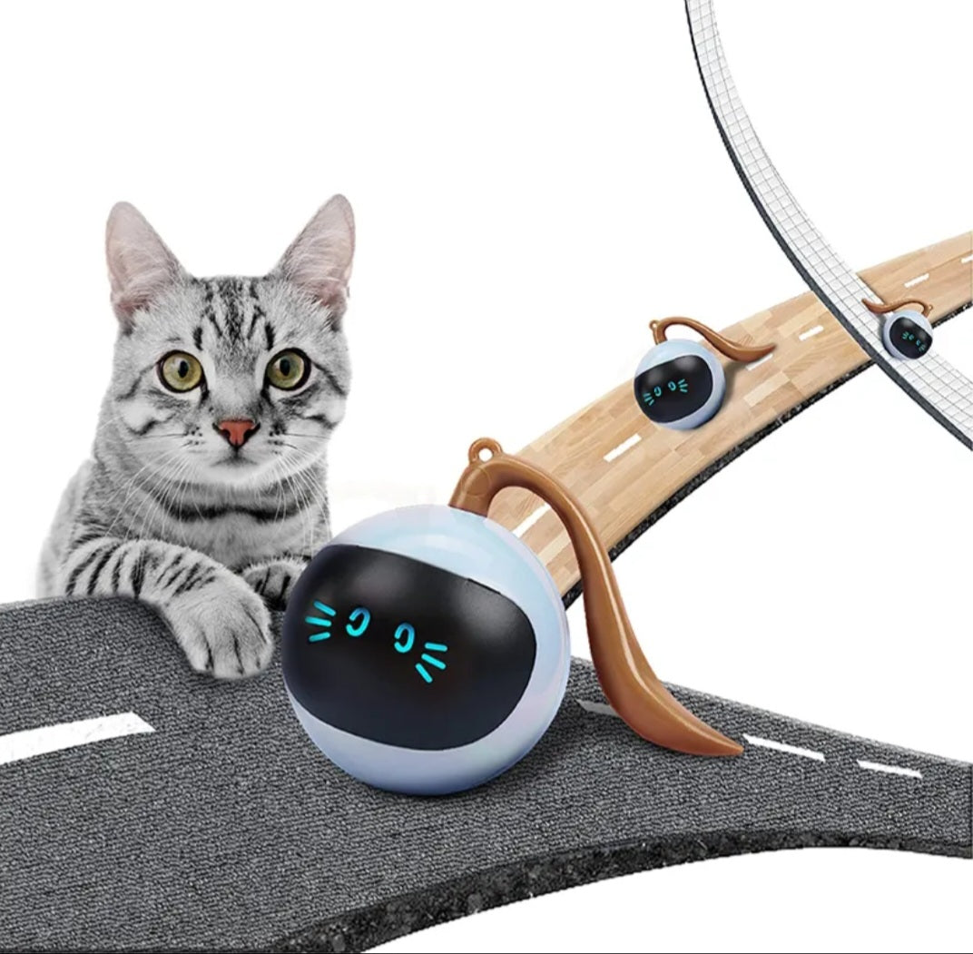 Tease Intelligenter Katzen Ball " BRANDNEU "