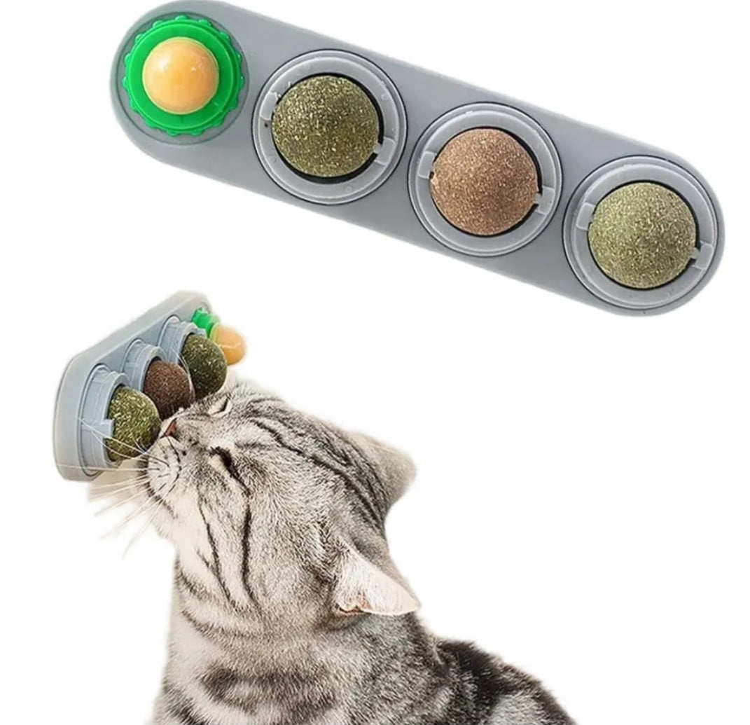 2er Set 4 Verschiedene Leck Katzenminzen