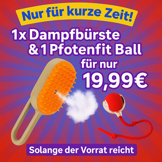 "Spar Hammer" 3 in 1 Katzen Dampfbürste & 1 x Pfotenfit " Katzen Spielball "