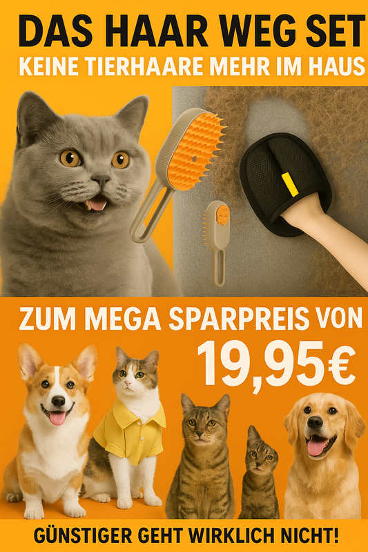 Haar Weg Set " Dampfbürste & Fellmagnet