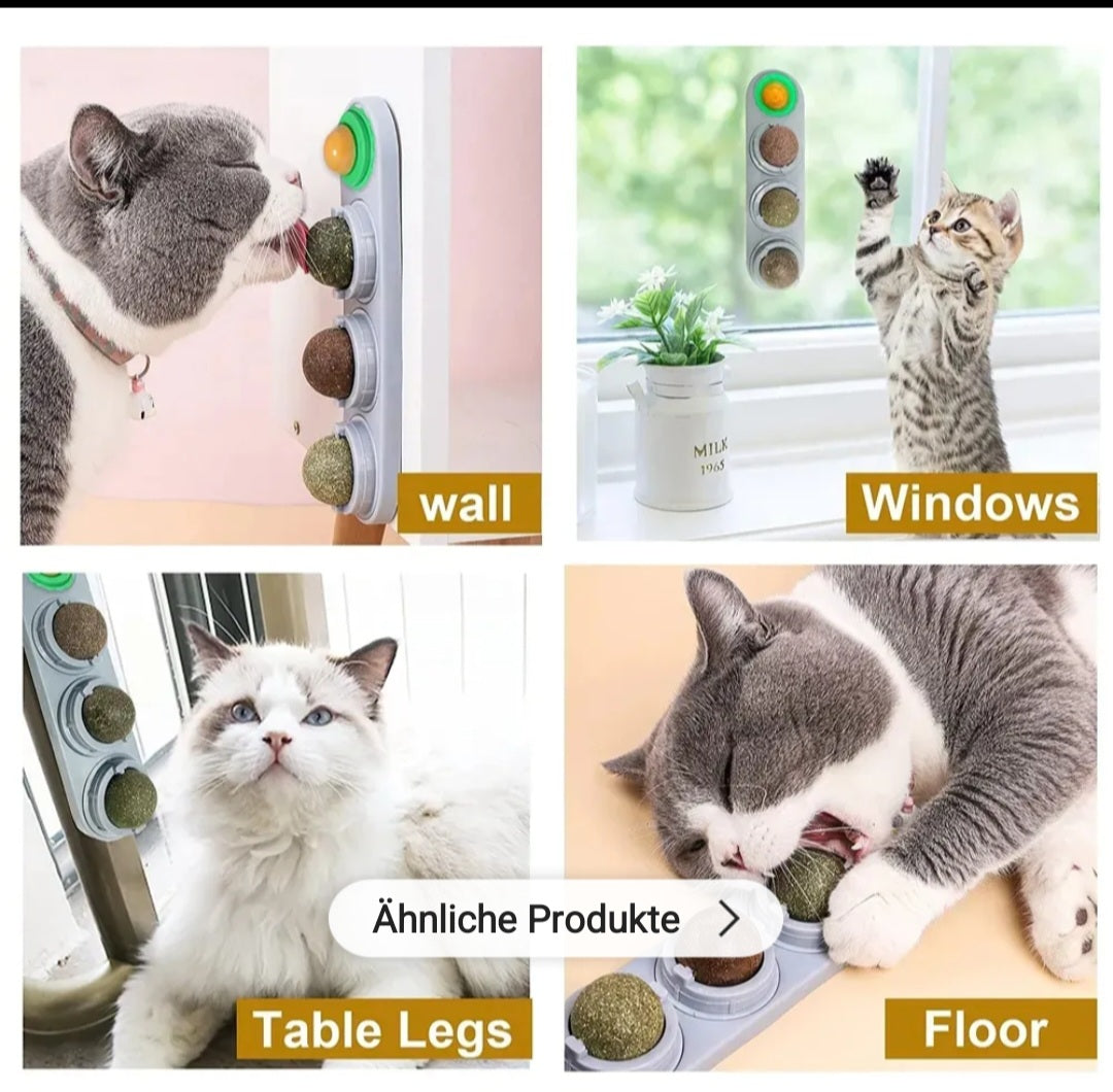 2er Set 4 Verschiedene Leck Katzenminzen