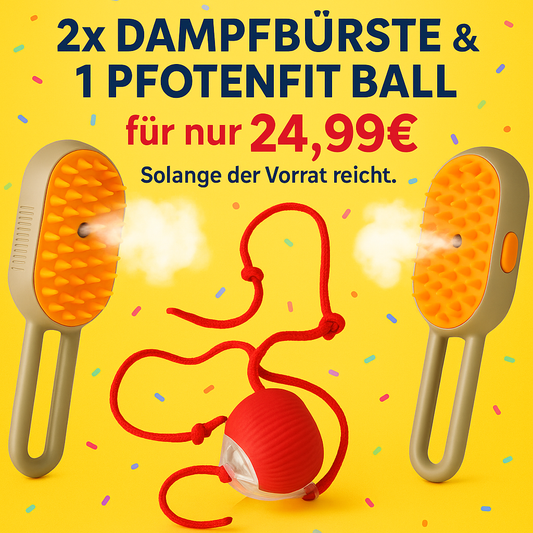 "SPAR HAMMER" : 2x Bürsten & 1 Pfotenfit Ball