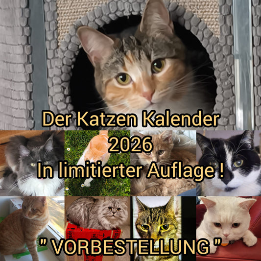 Katzen Kalender 2026