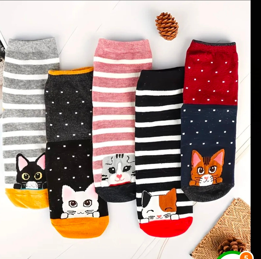 5 Paar Damen Katzensocken