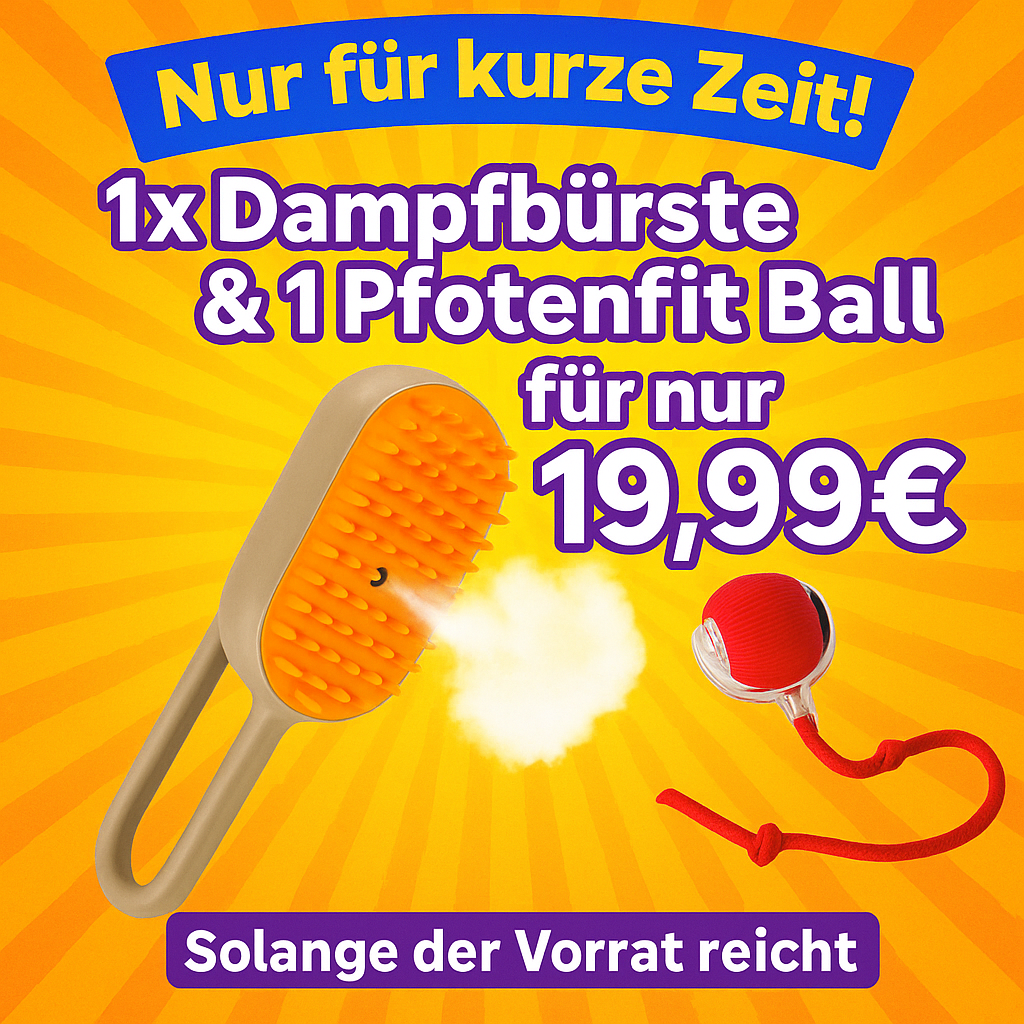 "Spar Hammer" 3 in 1 Katzen Dampfbürste & 1 x Pfotenfit " Katzen Spielball "