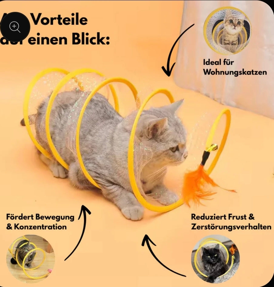 Tatzen Wirbel " Neu "