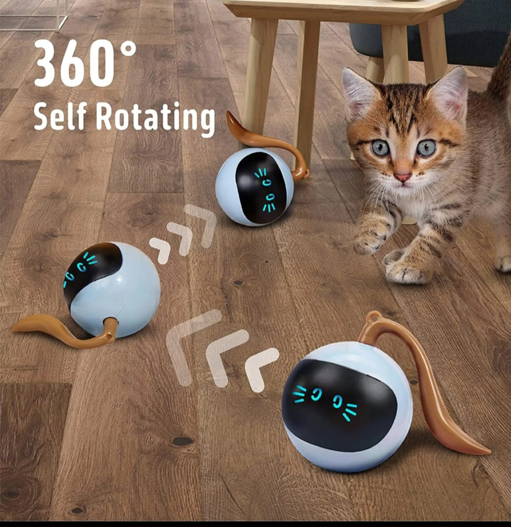 Tease Intelligenter Katzen Ball " BRANDNEU "