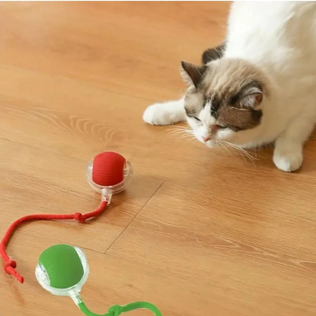 Interaktiver USB Spielball mit Schwanz für Katzen *Brandneu