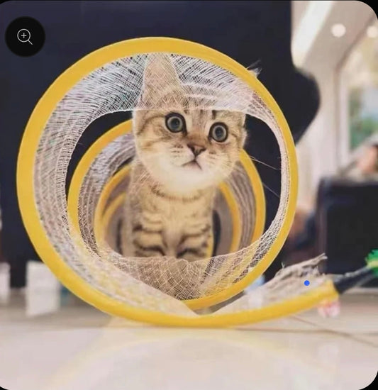 Tatzen Wirbel " Neu "