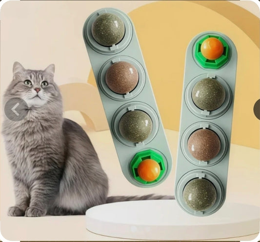 2er Set 4 Verschiedene Leck Katzenminzen