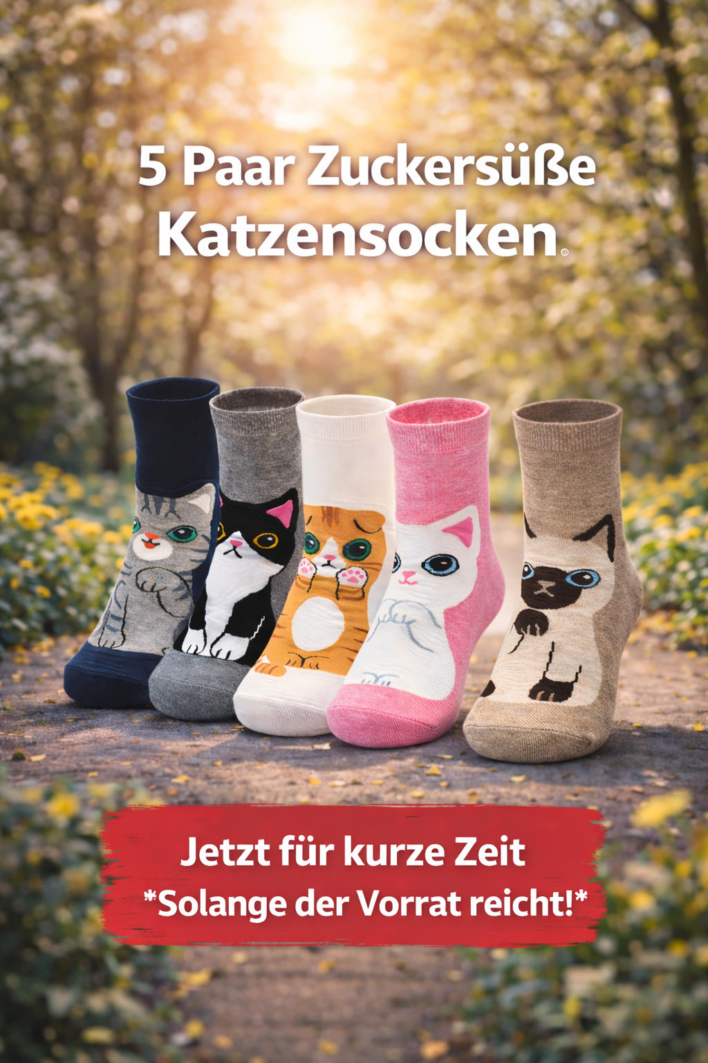 5 Paar Teen Katzensocken